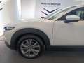 Mazda CX-30 2.0L e-Skyactiv-G 150 CV M Hybrid 2WD Exceed Bianco - thumbnail 7
