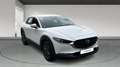 Mazda CX-30 2025 2.5 e-SKYACTIV G MHEV 140CV 6MT FWD PRIME LIN Blanco - thumbnail 3