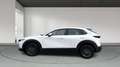 Mazda CX-30 2025 2.5 e-SKYACTIV G MHEV 140CV 6MT FWD PRIME LIN Blanco - thumbnail 7