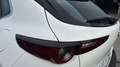 Mazda CX-30 2025 2.5 e-SKYACTIV G MHEV 140CV 6MT FWD PRIME LIN Blanco - thumbnail 19