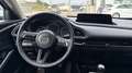 Mazda CX-30 2025 2.5 e-SKYACTIV G MHEV 140CV 6MT FWD PRIME LIN Blanco - thumbnail 12