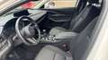 Mazda CX-30 2025 2.5 e-SKYACTIV G MHEV 140CV 6MT FWD PRIME LIN Blanco - thumbnail 11