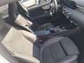 Mercedes-Benz A 200 A 200 d Premium Night edition auto Bianco - thumbnail 9