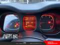 Fiat Panda Panda 1.2 Easy s&s 69cv my19 Rood - thumbnail 6