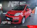 Fiat Panda Panda 1.2 Easy s&s 69cv my19 Rood - thumbnail 1