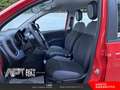 Fiat Panda Panda 1.2 Easy s&s 69cv my19 Rood - thumbnail 8