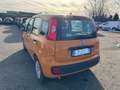 Fiat New Panda 1.0 FireFly Hybrid Oranje - thumbnail 3