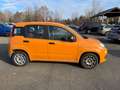 Fiat New Panda 1.0 FireFly Hybrid Oranje - thumbnail 9