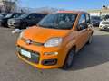 Fiat New Panda 1.0 FireFly Hybrid Oranje - thumbnail 5