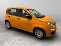 Fiat New Panda 1.0 FireFly Hybrid Arancione - thumbnail 7