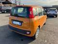 Fiat New Panda 1.0 FireFly Hybrid Oranje - thumbnail 10