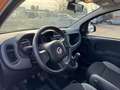 Fiat New Panda 1.0 FireFly Hybrid Oranje - thumbnail 12