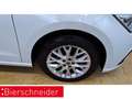 SEAT Ibiza 1.5 TSI DSG ALCANTARA NAVI REAR VIEW SHZ Weiß - thumbnail 10