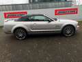 Ford Mustang 4.0  Cabrio unfallfrei mit Clean Title Gris - thumbnail 4