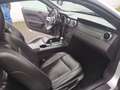Ford Mustang 4.0  Cabrio unfallfrei mit Clean Title Сірий - thumbnail 8