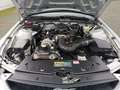 Ford Mustang 4.0  Cabrio unfallfrei mit Clean Title Сірий - thumbnail 16