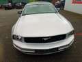 Ford Mustang 4.0  Cabrio unfallfrei mit Clean Title Gri - thumbnail 6