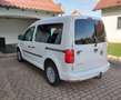 Volkswagen Caddy 2.0 TDI 102 CV Gancio traino Bianco - thumbnail 5