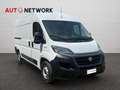 Fiat Ducato 33 2.2 Mjt 140CV MH2 PM-TM Furgone Blanc - thumbnail 1