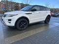 Overig Range Rover evoque Dynamic|Pano|Lage kmstand Wit - thumbnail 11