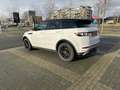 Overig Range Rover evoque Dynamic|Pano|Lage kmstand Wit - thumbnail 9