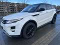 Overig Range Rover evoque Dynamic|Pano|Lage kmstand Wit - thumbnail 3