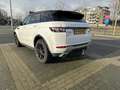 Overig Range Rover evoque Dynamic|Pano|Lage kmstand Wit - thumbnail 2