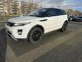 Overig Range Rover evoque Dynamic|Pano|Lage kmstand Wit - thumbnail 10