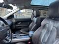 Overig Range Rover evoque Dynamic|Pano|Lage kmstand Wit - thumbnail 6
