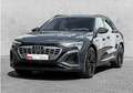 Audi Q8 e-tron Q8 e-tron 55 quattro Matrix/HuD/Luftfed. - S line Blau - thumbnail 1