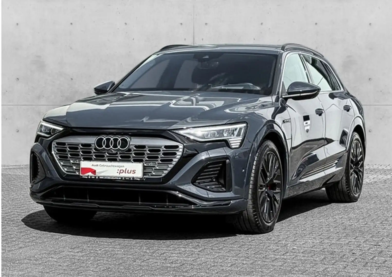 Audi Q8 e-tron Q8 e-tron 55 quattro Matrix/HuD/Luftfed. - S line Blau - 1