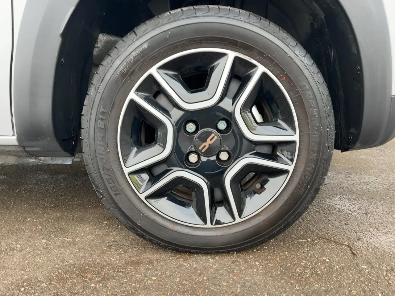 Dacia Spring Electric 65 Extreme Rückfahrkamera PDC BT 18