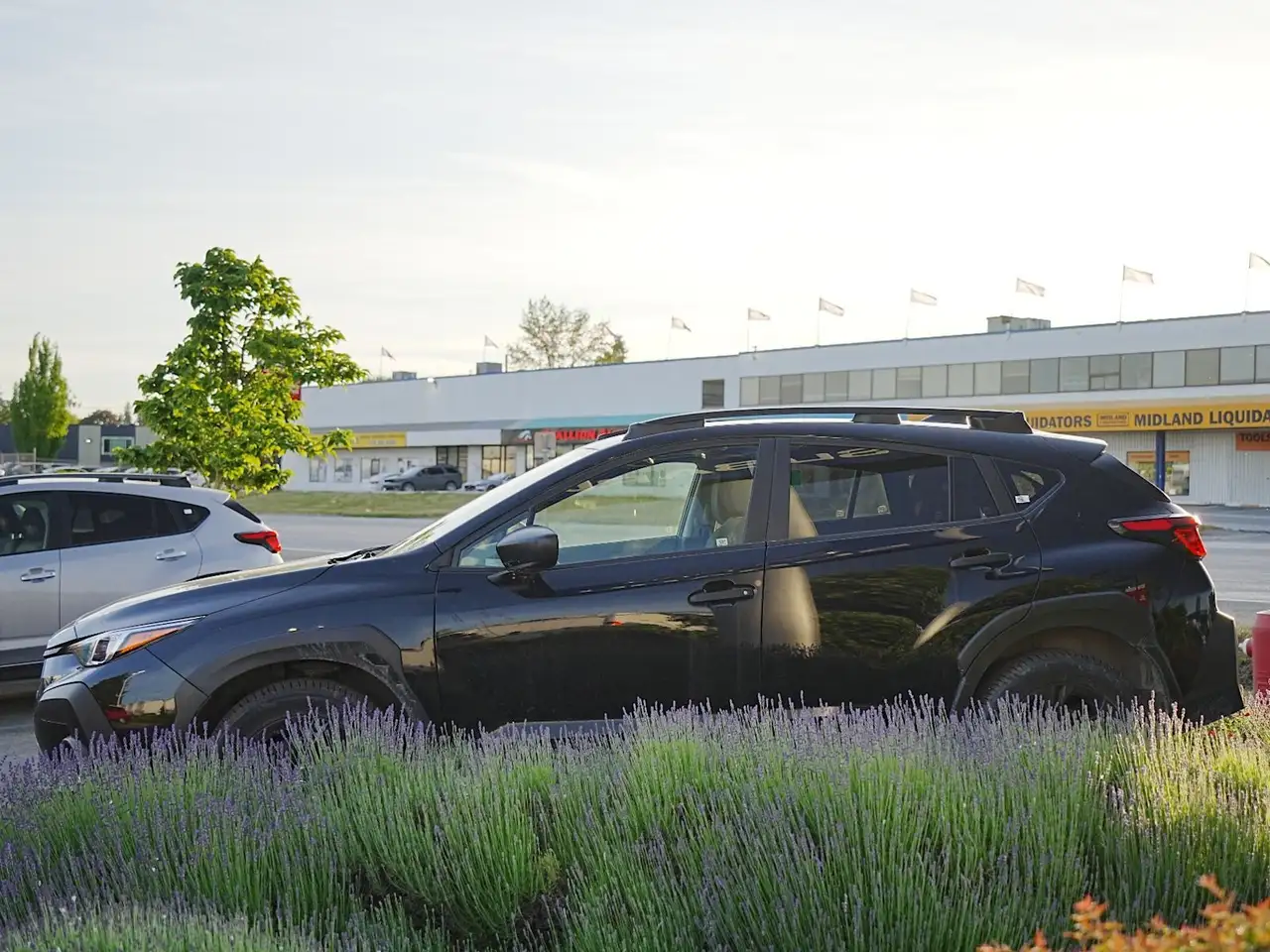 Subaru Crosstrek снимка Subaru Crosstrek