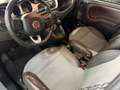 Fiat Panda 1,3 MultiJet II 95 4x4 Cross Grau - thumbnail 19
