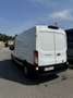 Ford Transit Bus Blanco - thumbnail 3