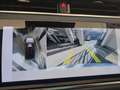 Land Rover Range Rover Evoque Range Rover Evoque 2.0D I4 163 CV AWD Auto SE Bianco - thumbnail 14