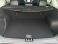 Kia Niro Spirit 1.6T HEV DCT Kamera Leder ACC Memory Klimas Grau - thumbnail 16