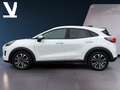Ford Puma Wit - thumbnail 2