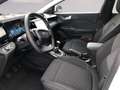 Ford Puma Wit - thumbnail 8