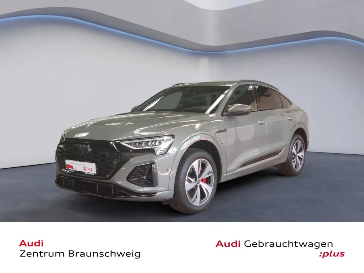 Audi Q8 Sportback S-line 55 e-tron quattro MATRIX-LED Grau - 1