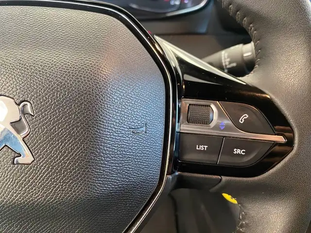 Peugeot 2008 view 14