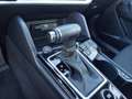 Kia Sportage Sportage 1.6 tgdi mhev Business 160cv dct Grijs - thumbnail 12