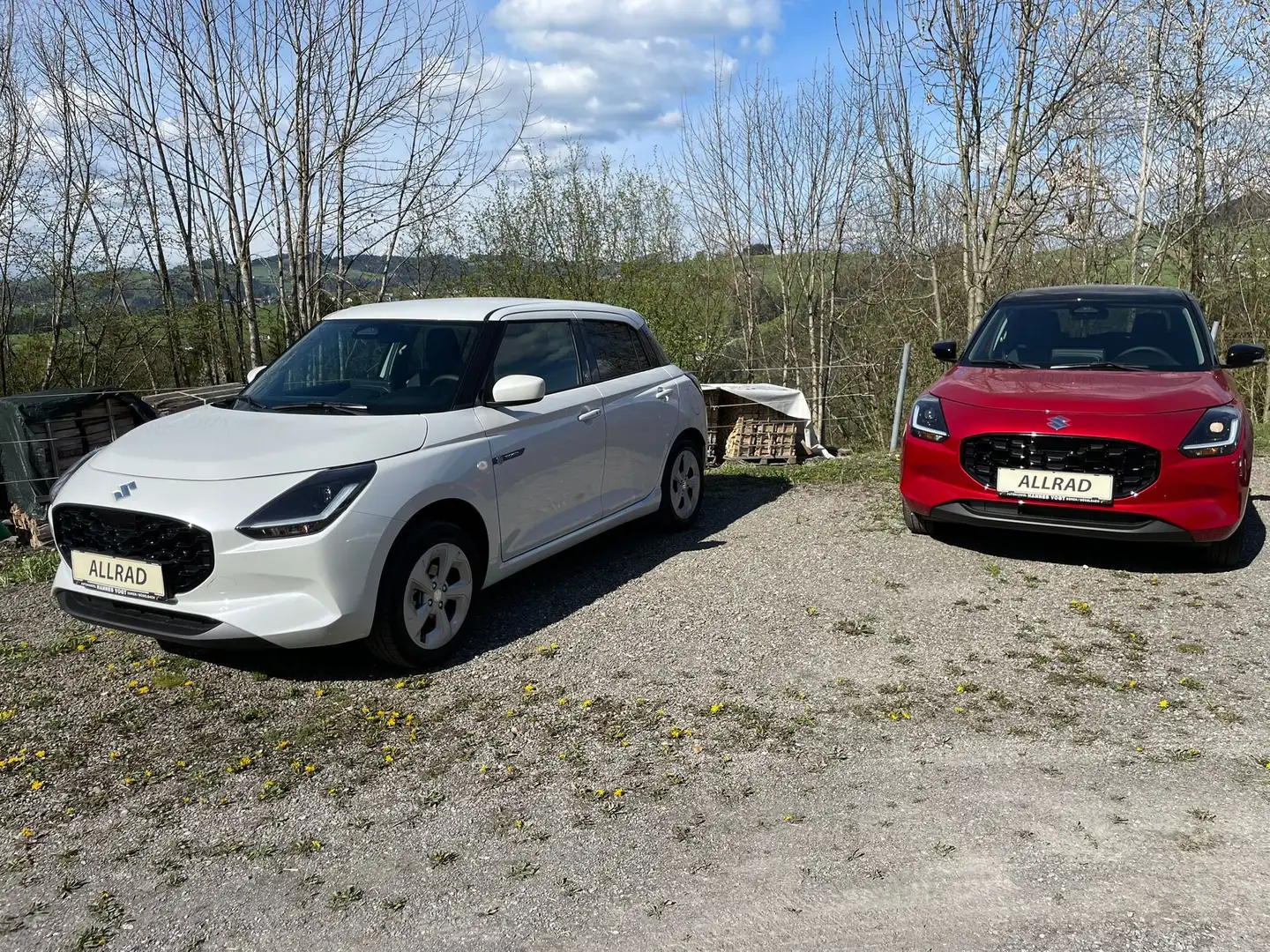 Suzuki Swift 1,2 Hybrid ALLGRIP shine 5tg. Tageszulassung!!! Weiß - 1