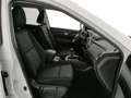 Nissan X-Trail 1.6 dCi 4WD Acenta Tutta Tagliandata Bianco - thumbnail 7