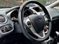 Ford Fiesta 1.25 Titanium Clima Aux USB APK t/m 30-11-2024 Gris - thumbnail 12