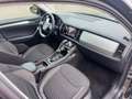 Skoda Kodiaq 2.0 TDI EVO SCR 4x4 DSG 7 POSTY EXECUTIVE*UNIPROP* Grau - thumbnail 13