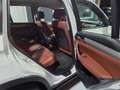 BMW X3 xDrive30d Österreich-Paket Aut. Weiß - thumbnail 24