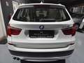 BMW X3 xDrive30d Österreich-Paket Aut. Weiß - thumbnail 12