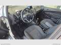 Ford B-Max 1.4 90 CV GPL Titanium Bianco - thumbnail 6