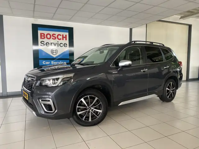 Subaru Forester 2.0i e-BOXER Luxury Trekhaak / Winterwielen / vol